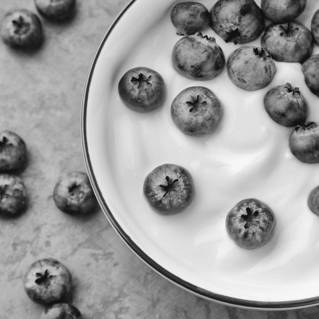 blueberry-frozen-yogurt